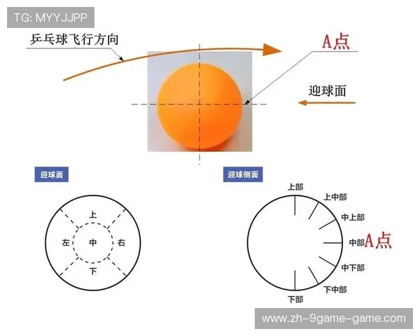 乒乓球侧旋弧圈难以判断：提升技术与战术的突破口